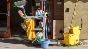 Website designer Gymea proof checks for a local cleaning service business